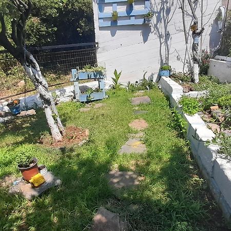 Το Σπίτι Της Ελένης Lejlighed Vlachia Eksteriør billede