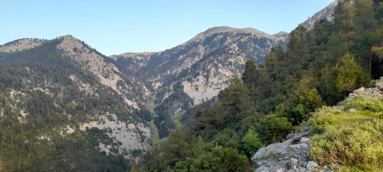 Το Σπίτι Της Ελένης Lejlighed Vlachia Eksteriør billede