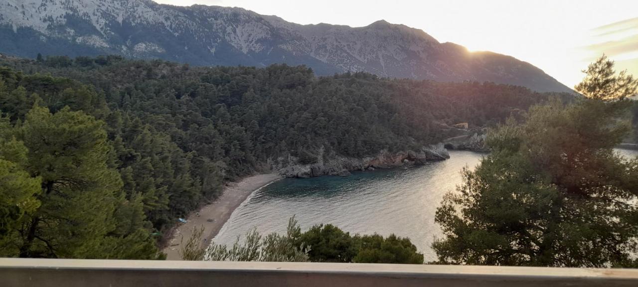 Το Σπίτι Της Ελένης Lejlighed Vlachia Eksteriør billede