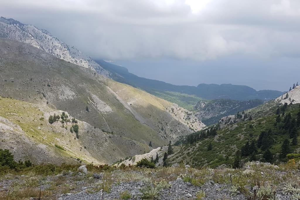 Το Σπίτι Της Ελένης Lejlighed Vlachia Eksteriør billede