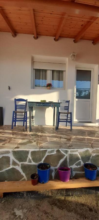 Το Σπίτι Της Ελένης Lejlighed Vlachia Eksteriør billede
