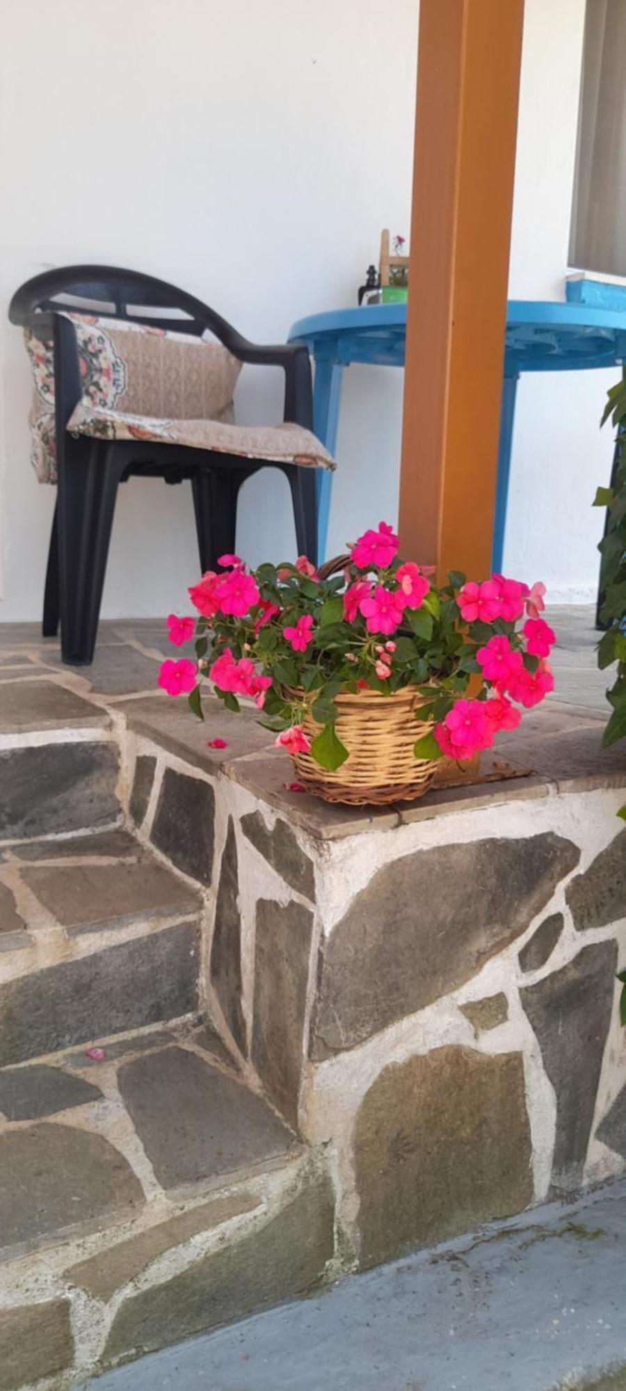Το Σπίτι Της Ελένης Lejlighed Vlachia Eksteriør billede