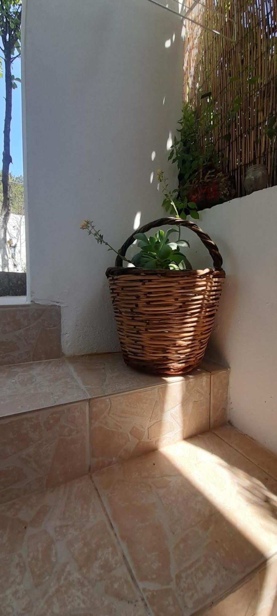 Το Σπίτι Της Ελένης Lejlighed Vlachia Eksteriør billede