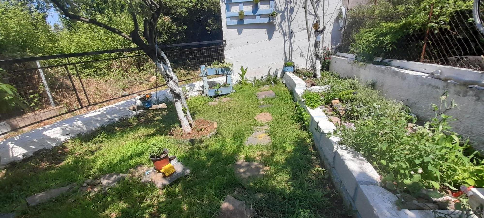 Το Σπίτι Της Ελένης Lejlighed Vlachia Eksteriør billede
